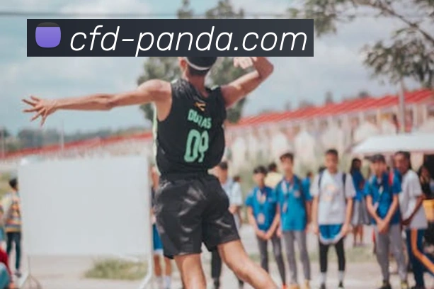 熊猫体育下载发展历程